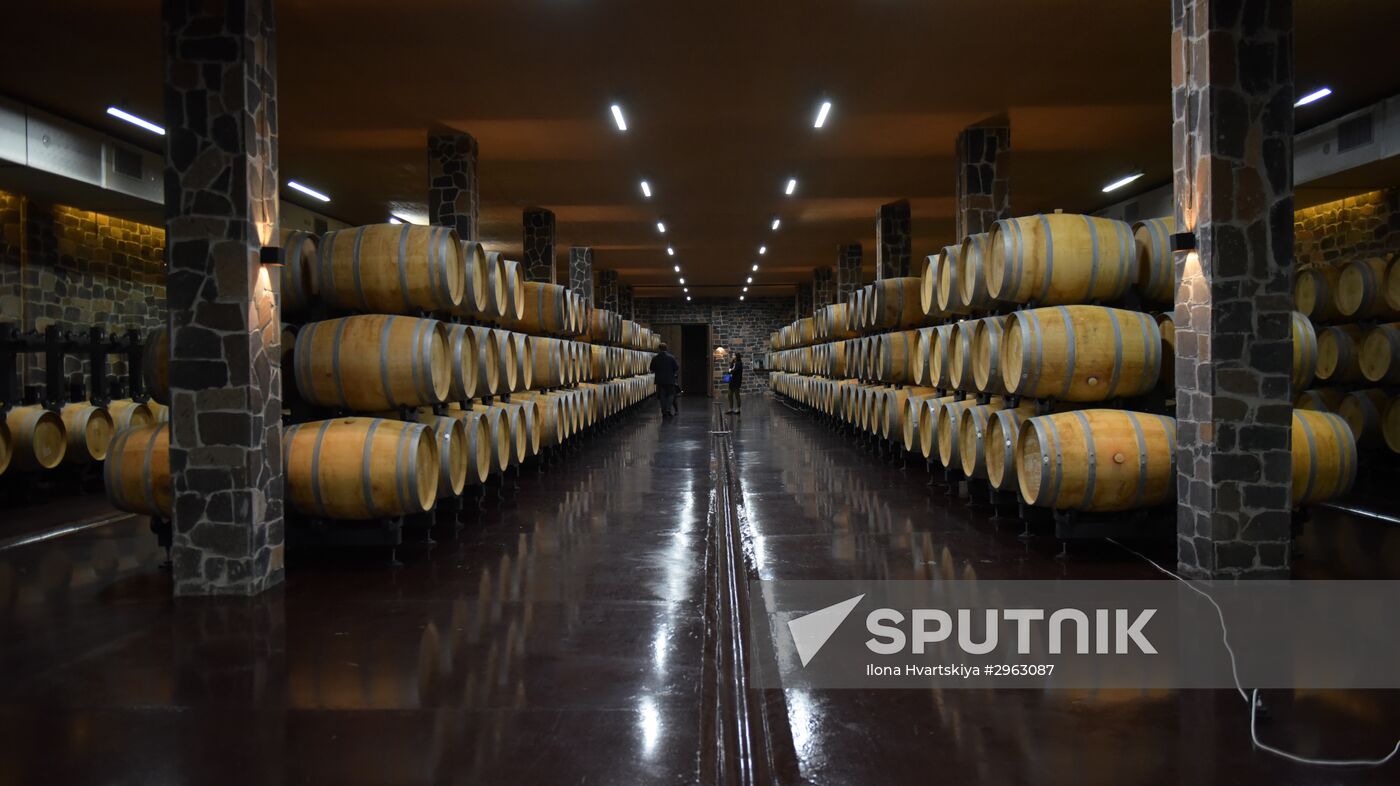 Winery in Sukhum