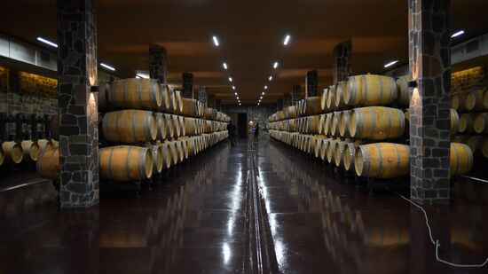 Winery in Sukhum