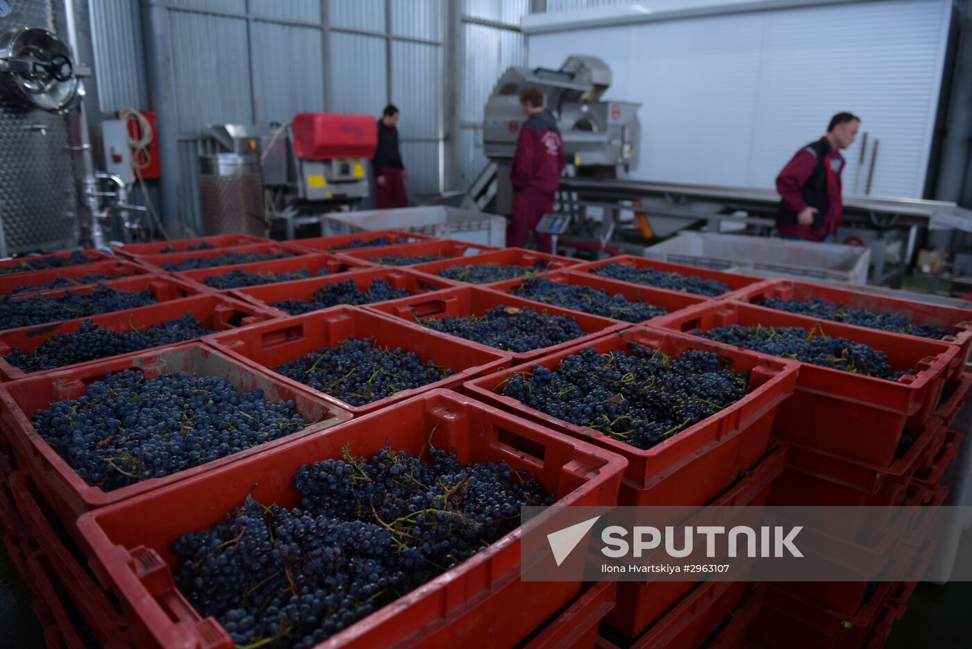 Winery in Sukhum