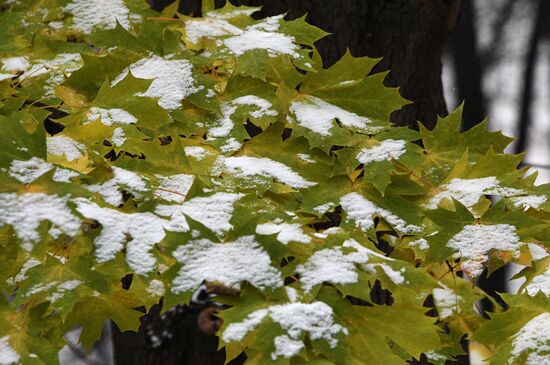 First snow in Moscow