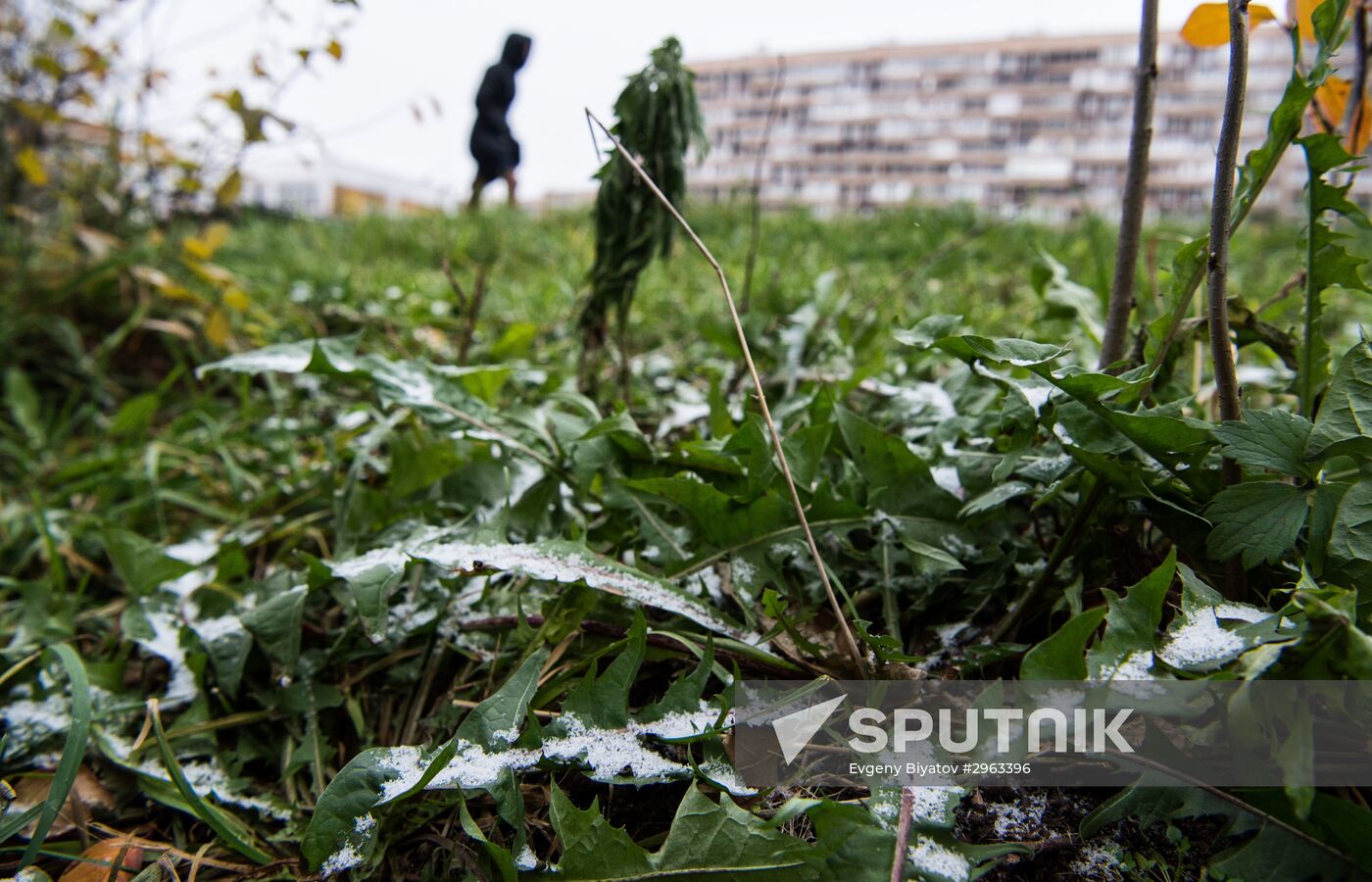 First snow in Moscow