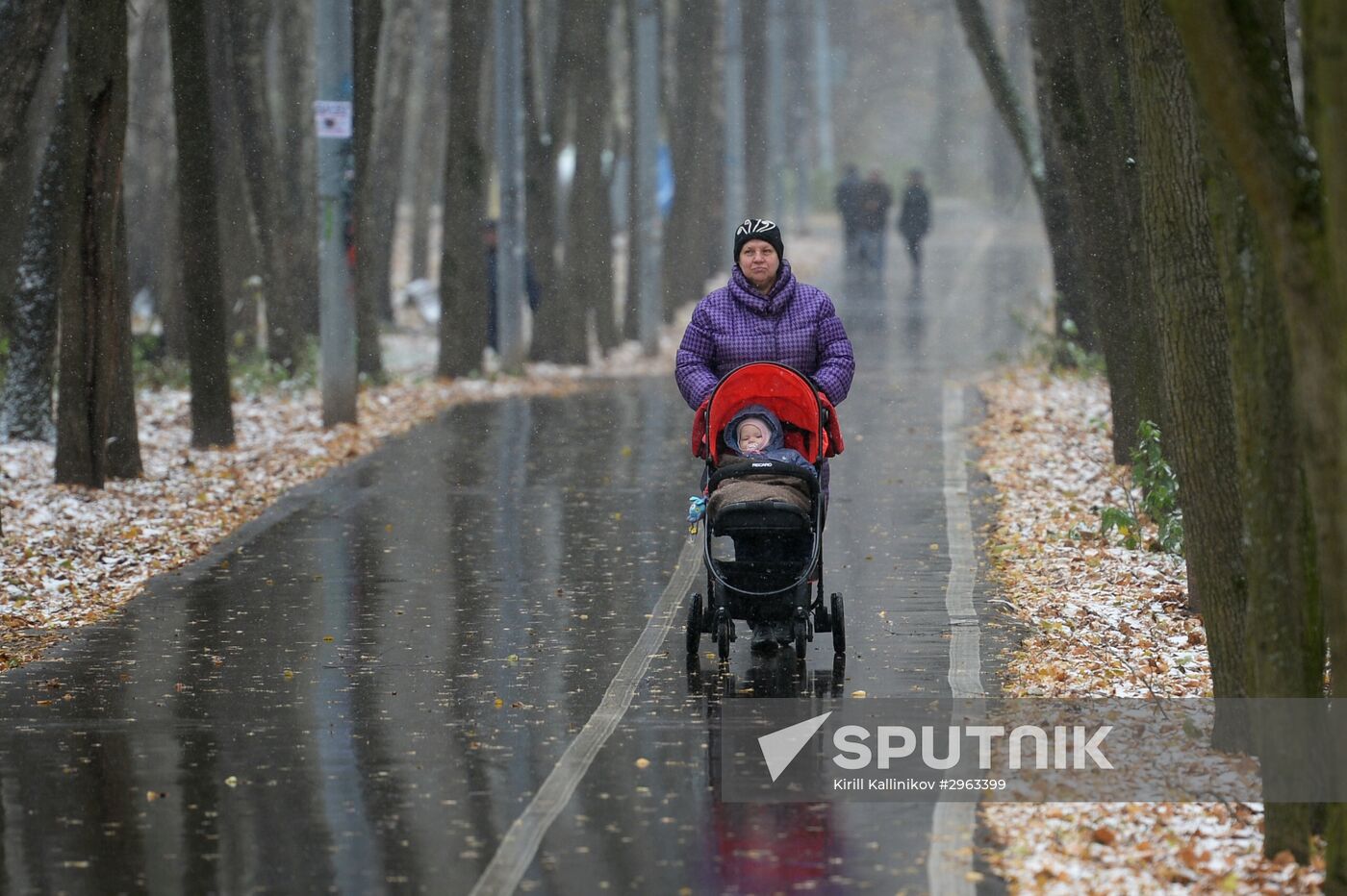 First snow in Moscow