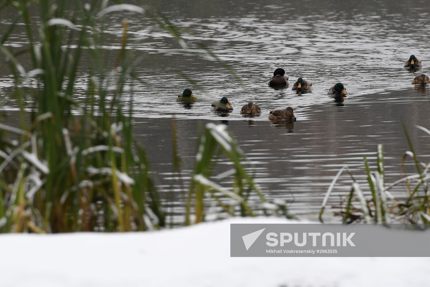 First snow in Moscow