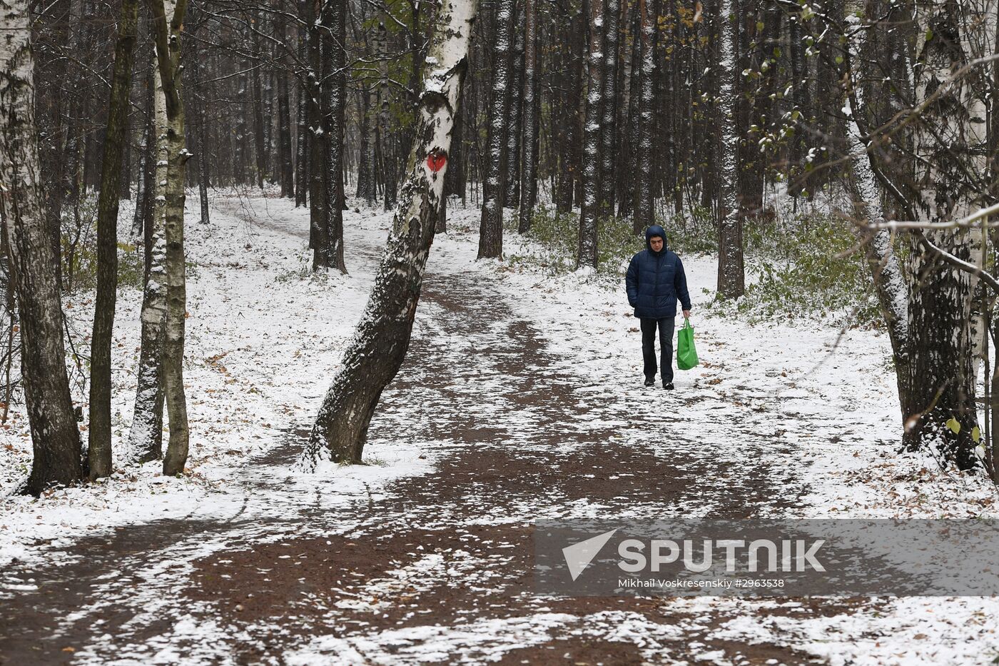 First snow in Moscow