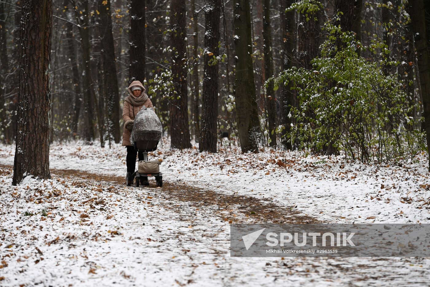 First snow in Moscow