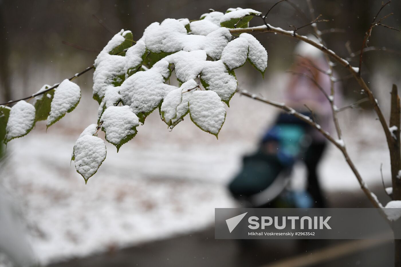 First snow in Moscow
