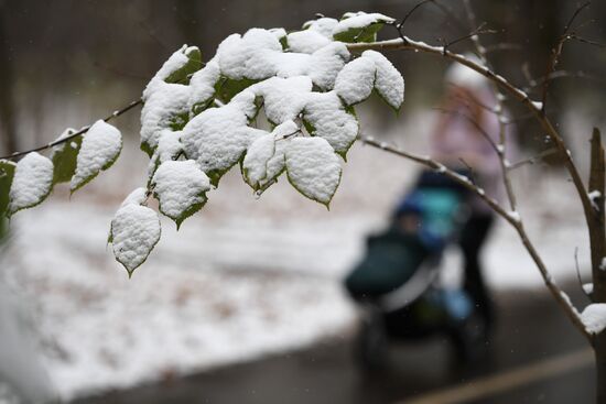 First snow in Moscow