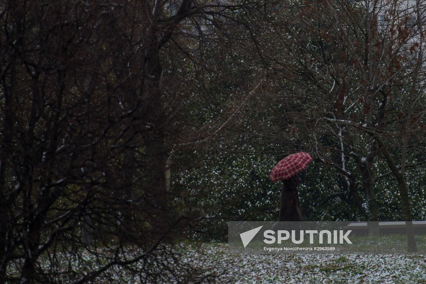 First snow in Moscow
