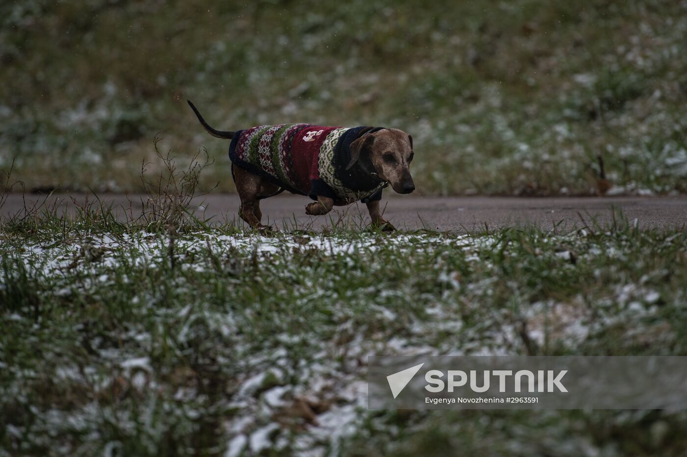 First snow in Moscow