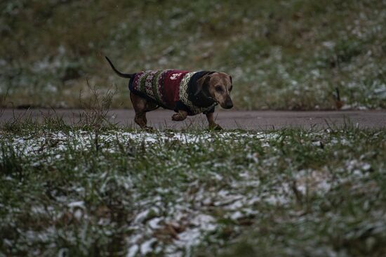 First snow in Moscow