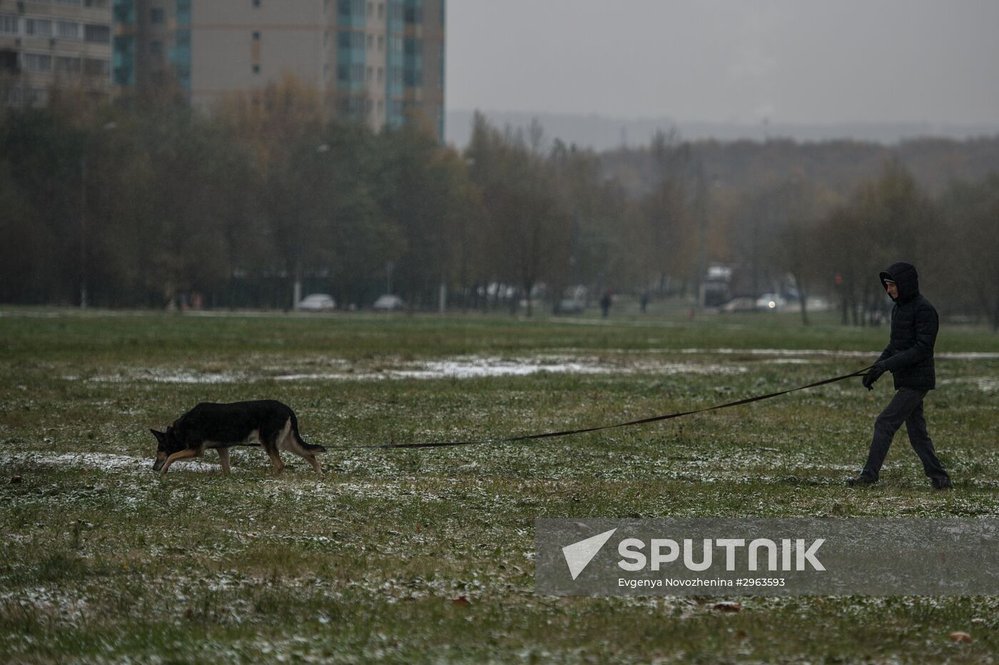 First snow in Moscow