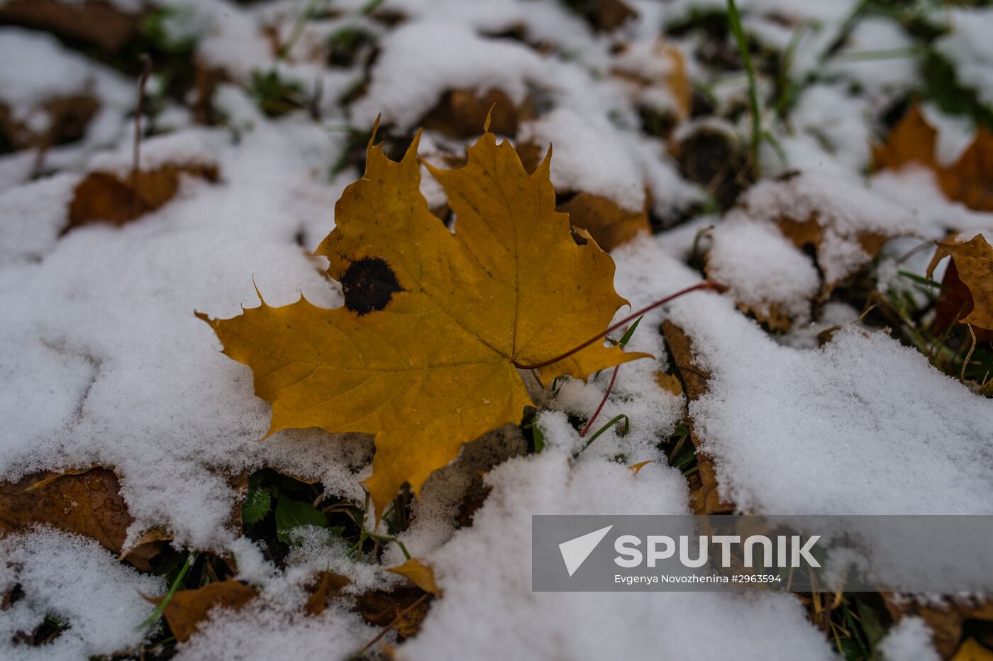 First snow in Moscow