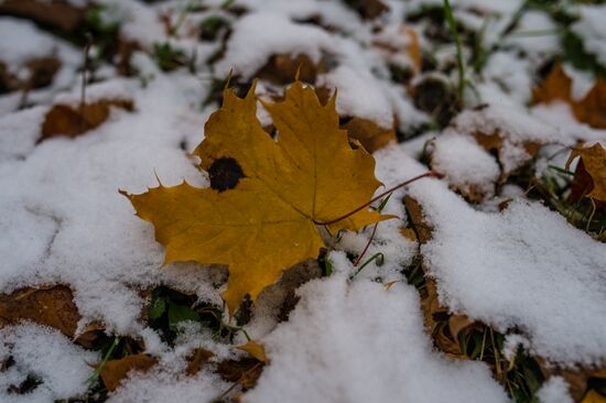 First snow in Moscow