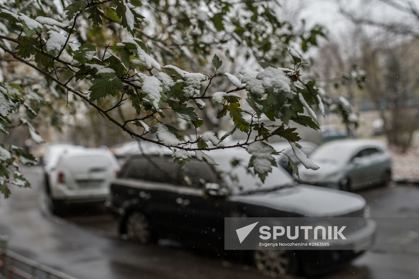First snow in Moscow