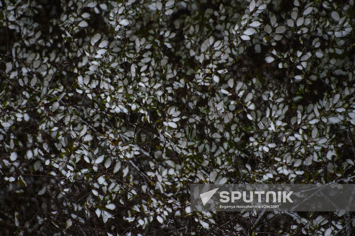 First snow in Moscow