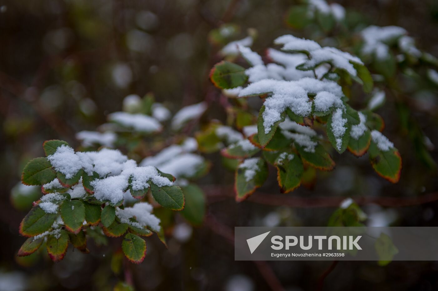 First snow in Moscow