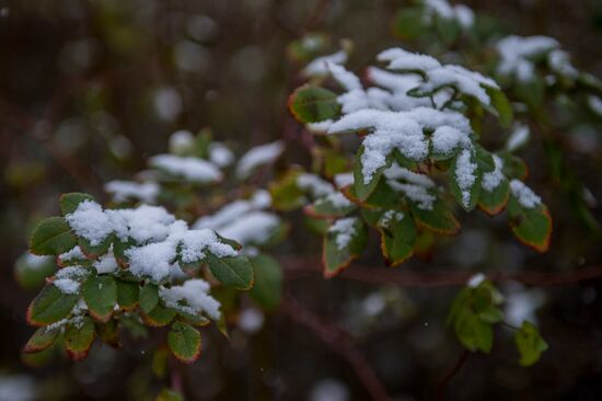 First snow in Moscow