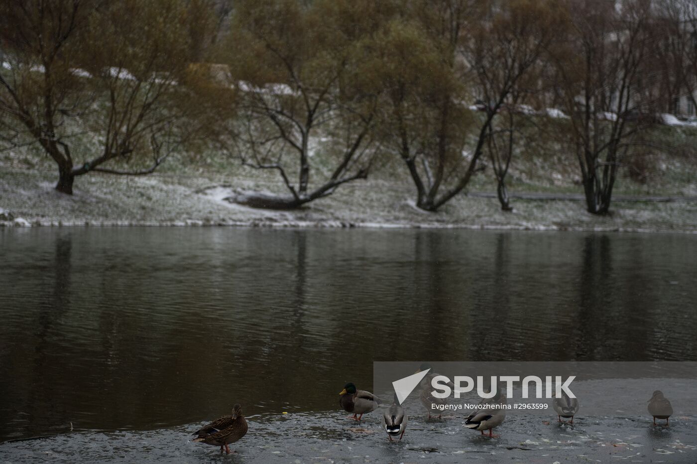 First snow in Moscow