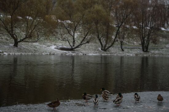 First snow in Moscow