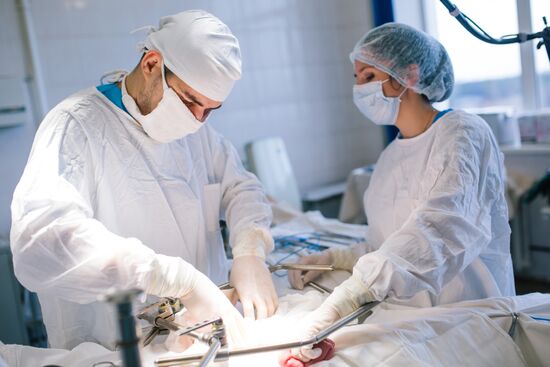 Professor Pyotr Tsarkov gives coloproctology master class at Ivanovo oncology clinic