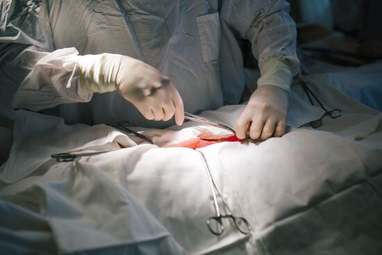 Professor Pyotr Tsarkov gives coloproctology master class at Ivanovo oncology clinic
