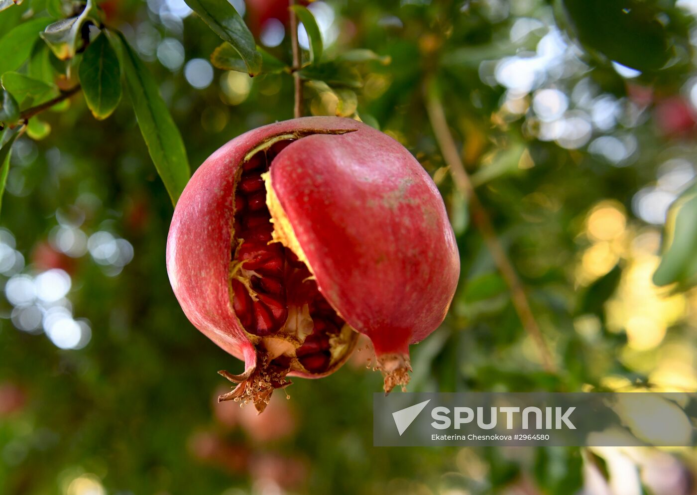 Countries of the world. Lebanon. Baalbek