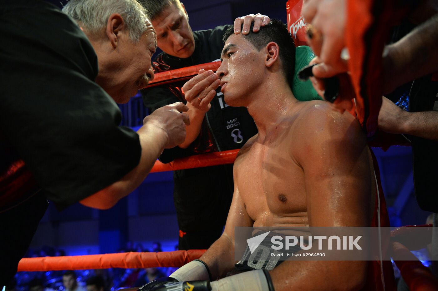 Boxing. Dmitry Bivol vs. Evgueny Makhteyenko
