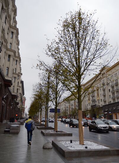 Linden trees planted on Tverskaya Street