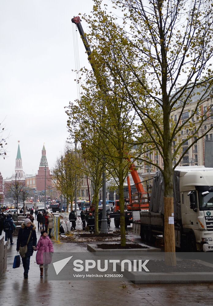 Linden trees planted on Tverskaya Street