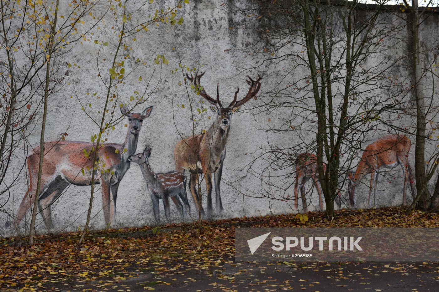 Chernobyl Nuclear Power Plant