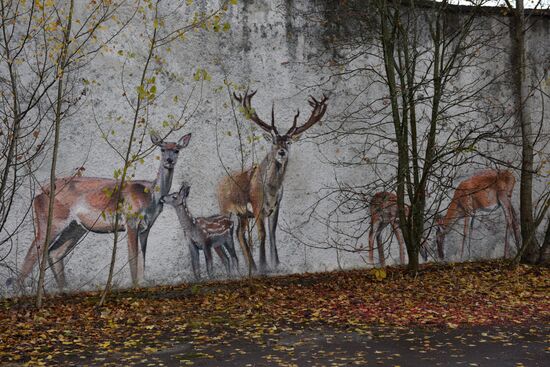 Chernobyl Nuclear Power Plant