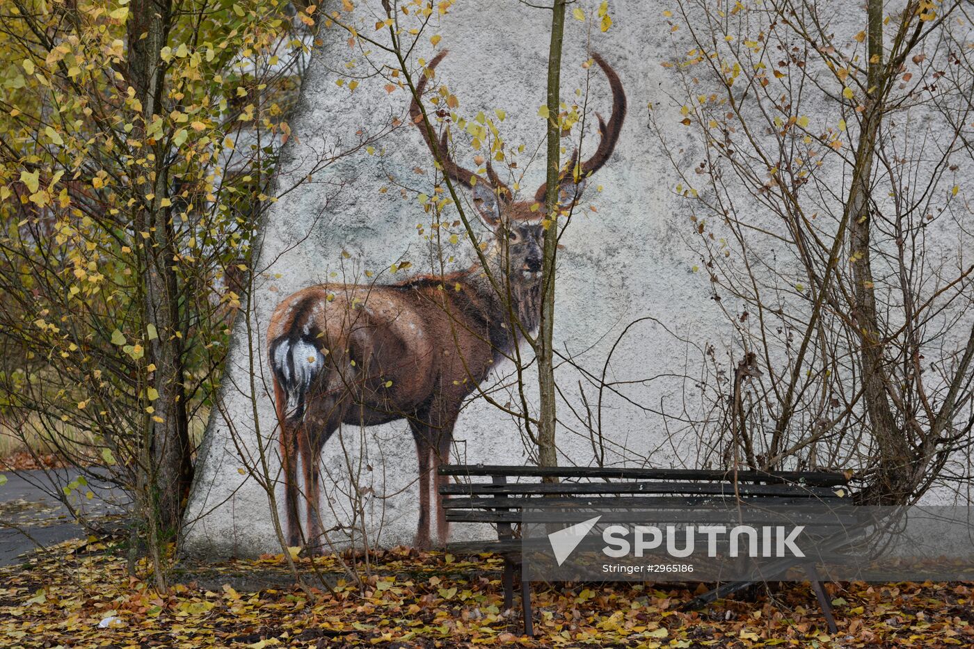 Chernobyl Nuclear Power Plant