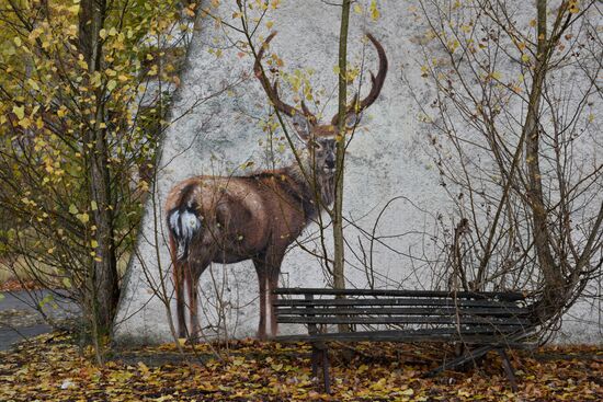 Chernobyl Nuclear Power Plant