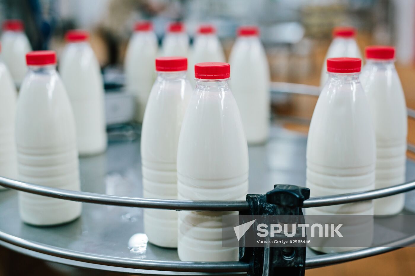 Dairy output in Ivanovka