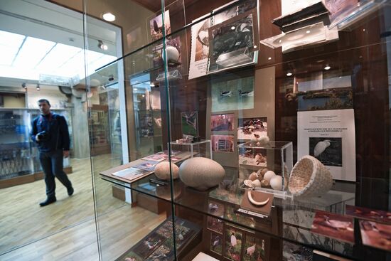Moscow Zoo Museum opens