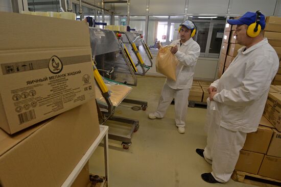 Poultry farm in Chelyabinsk Region