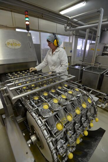 Poultry farm in Chelyabinsk Region