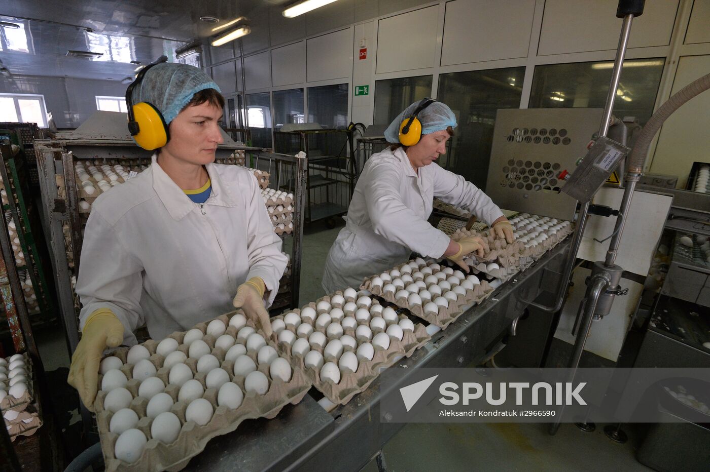 Poultry farm in Chelyabinsk Region