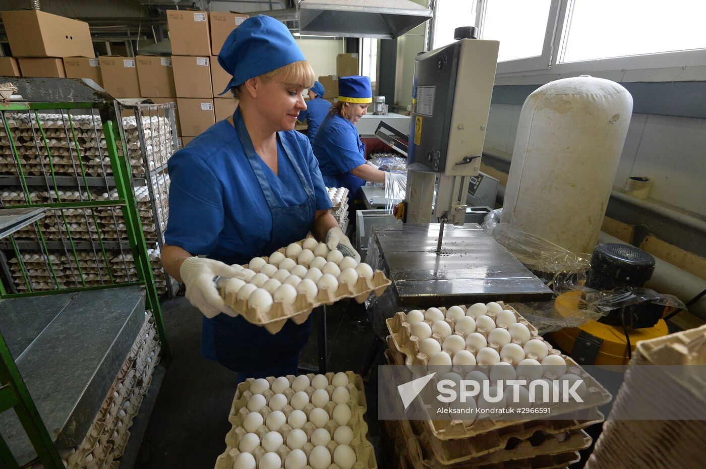 Poultry farm in Chelyabinsk Region