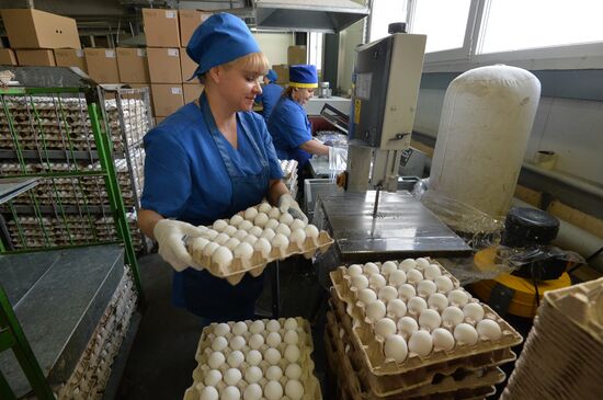 Poultry farm in Chelyabinsk Region