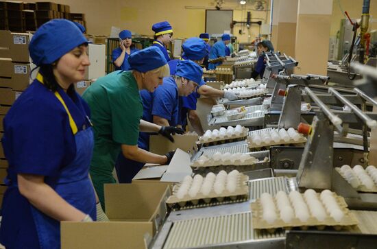 Poultry farm in Chelyabinsk Region