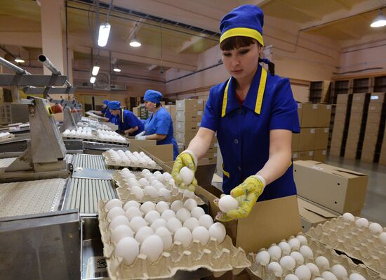 Poultry farm in Chelyabinsk Region