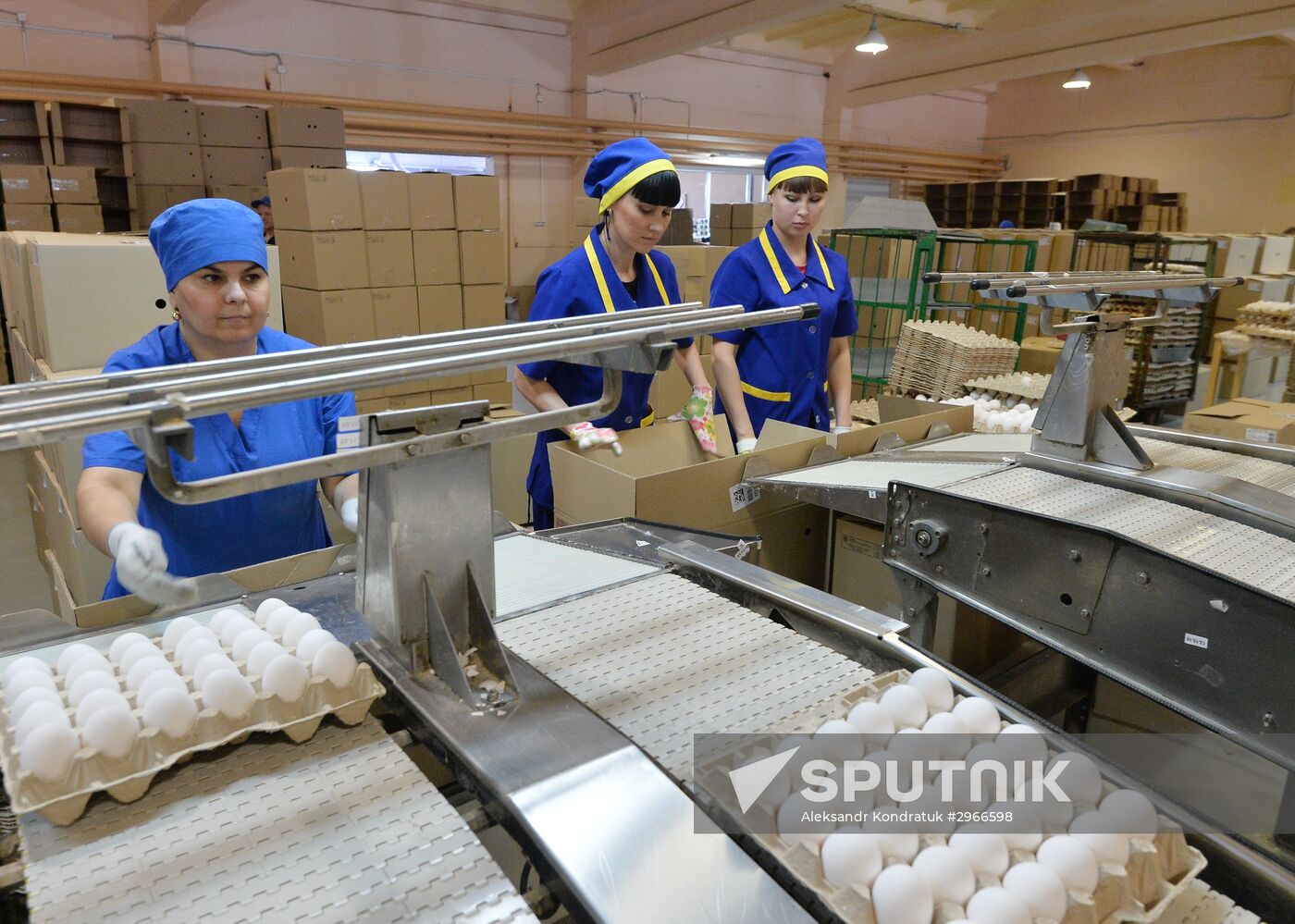 Poultry farm in Chelyabinsk Region