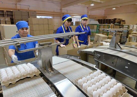 Poultry farm in Chelyabinsk Region