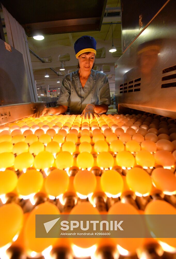 Poultry farm in Chelyabinsk Region