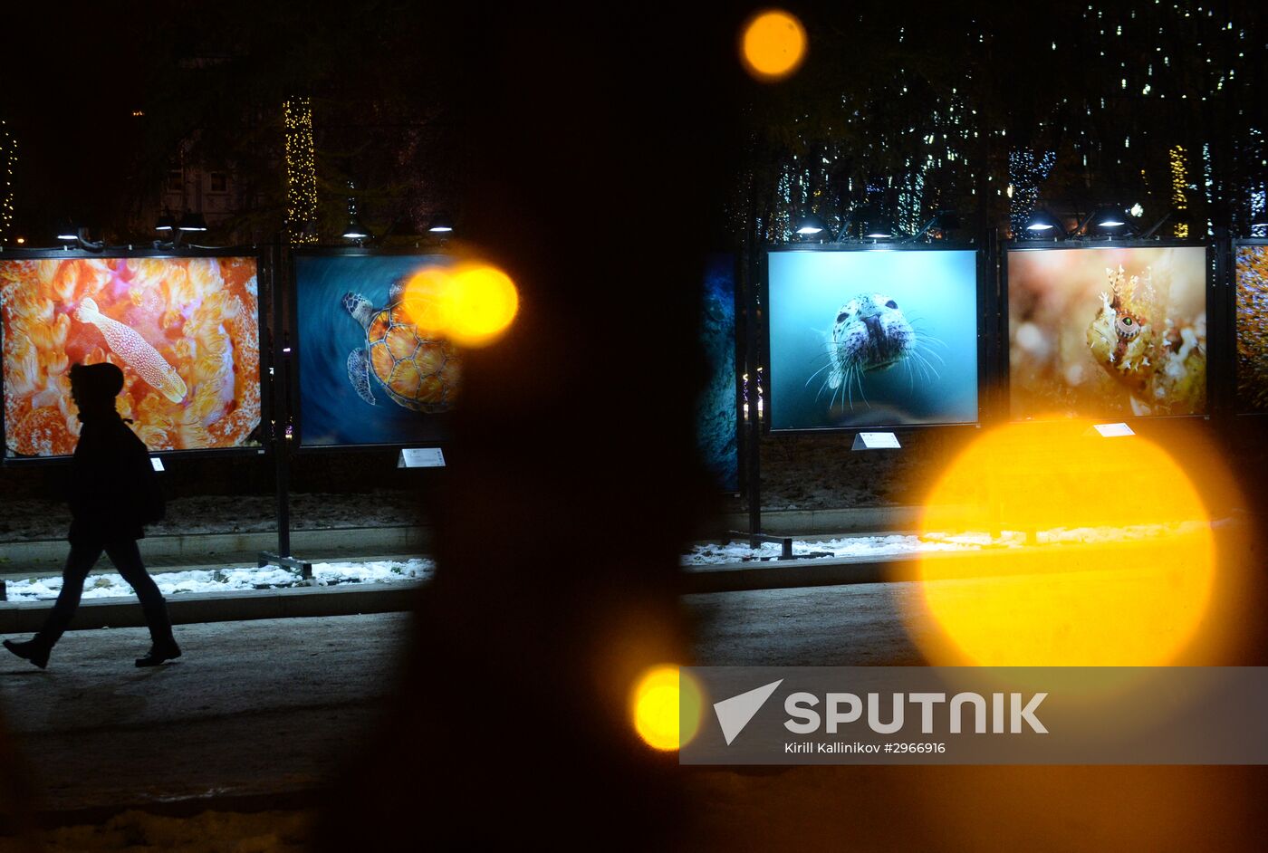 Evening highlighting in Moscow streets