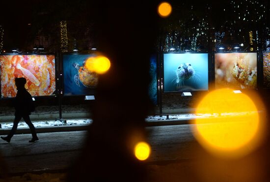 Evening highlighting in Moscow streets