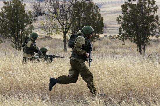 Exhibition performance of border guards in Crimea
