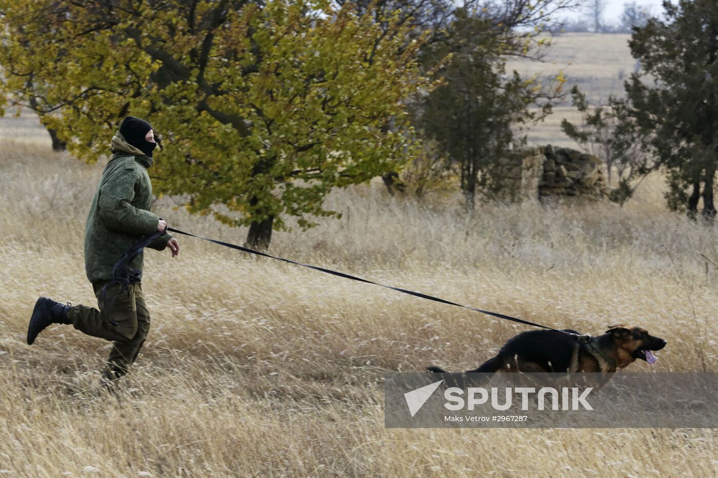 Exhibition performance of border guards in Crimea