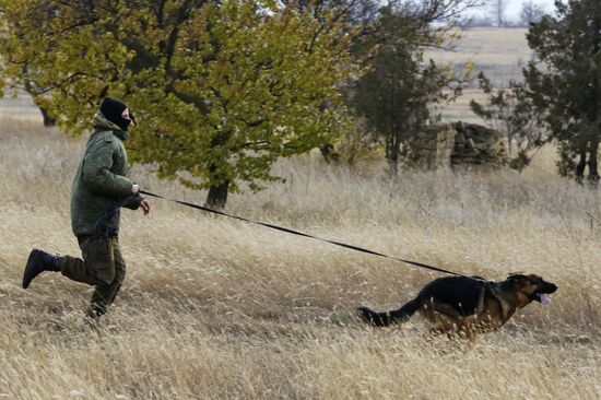 Exhibition performance of border guards in Crimea